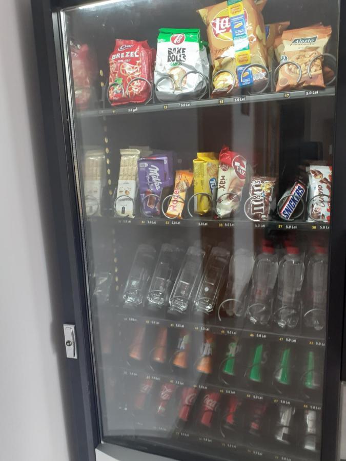 蒂米什瓦拉 Casa Lions酒店 外观 照片