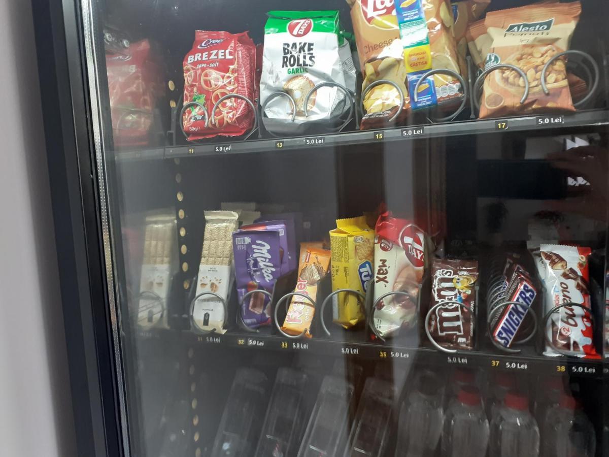 蒂米什瓦拉 Casa Lions酒店 外观 照片