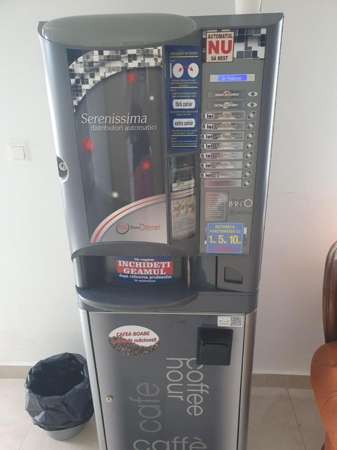 蒂米什瓦拉 Casa Lions酒店 外观 照片
