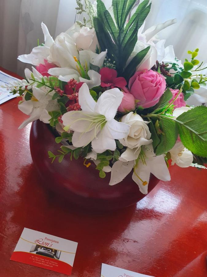 蒂米什瓦拉 Casa Lions酒店 外观 照片