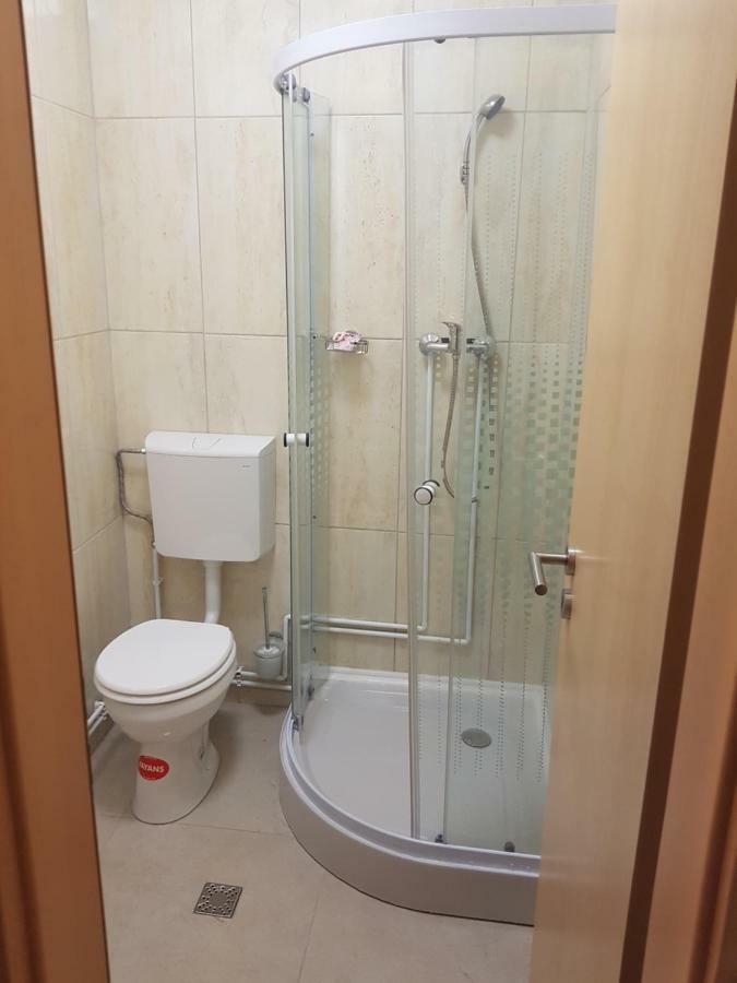 蒂米什瓦拉 Casa Lions酒店 外观 照片