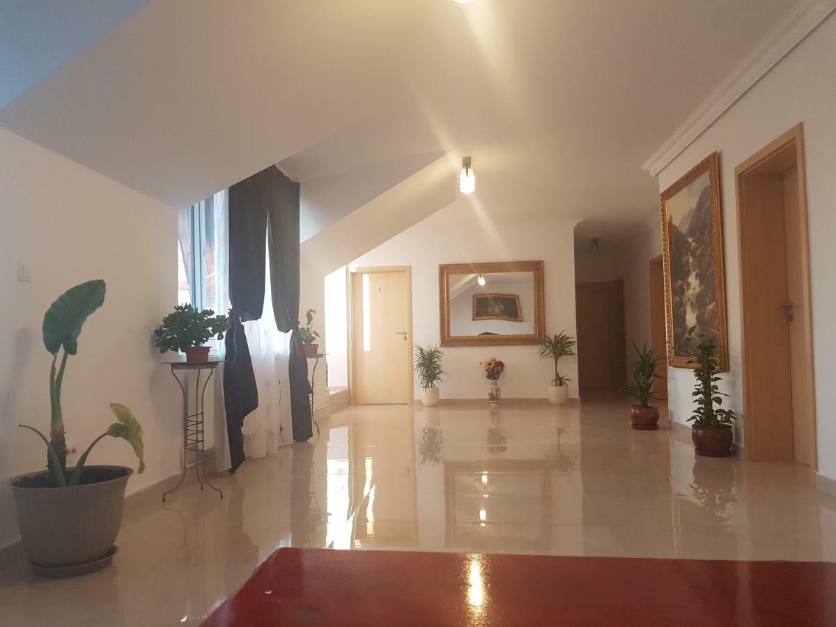 蒂米什瓦拉 Casa Lions酒店 外观 照片