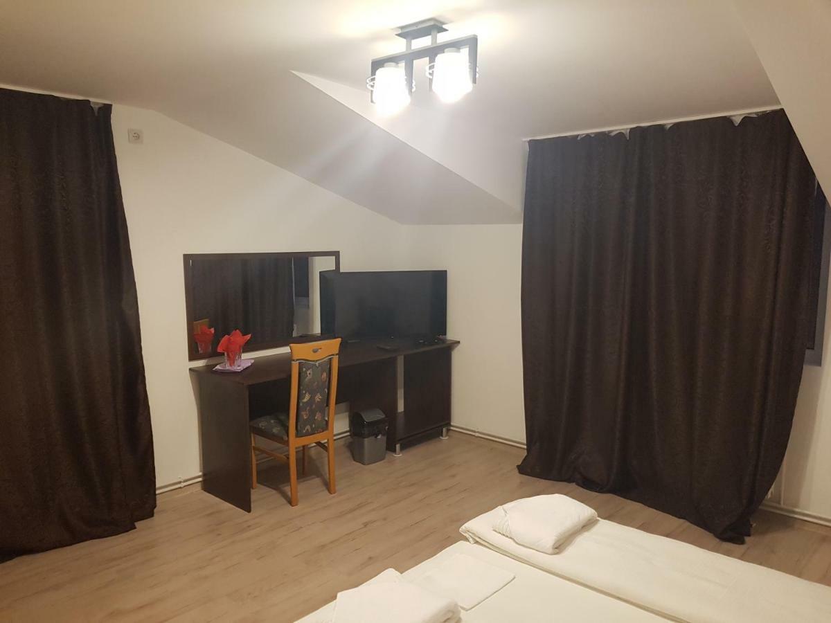 蒂米什瓦拉 Casa Lions酒店 外观 照片