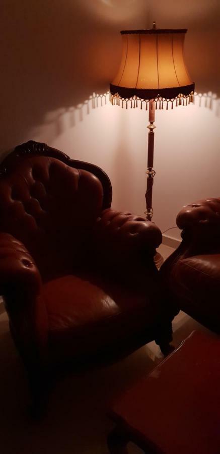 蒂米什瓦拉 Casa Lions酒店 外观 照片