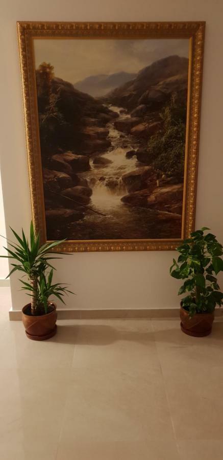 蒂米什瓦拉 Casa Lions酒店 外观 照片