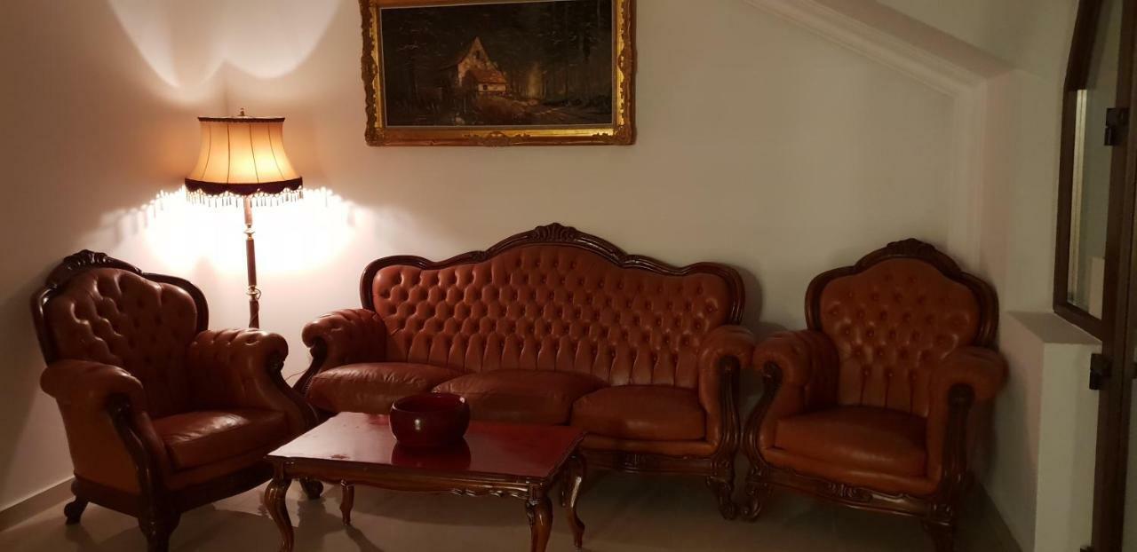 蒂米什瓦拉 Casa Lions酒店 外观 照片