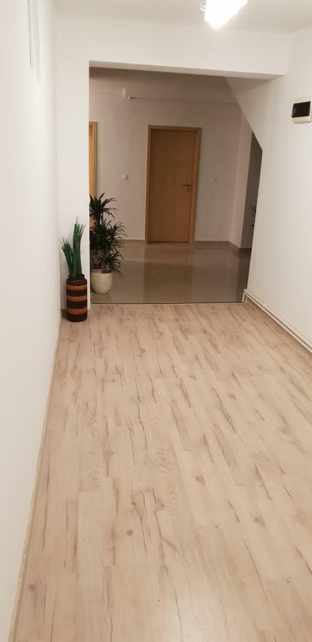 蒂米什瓦拉 Casa Lions酒店 外观 照片