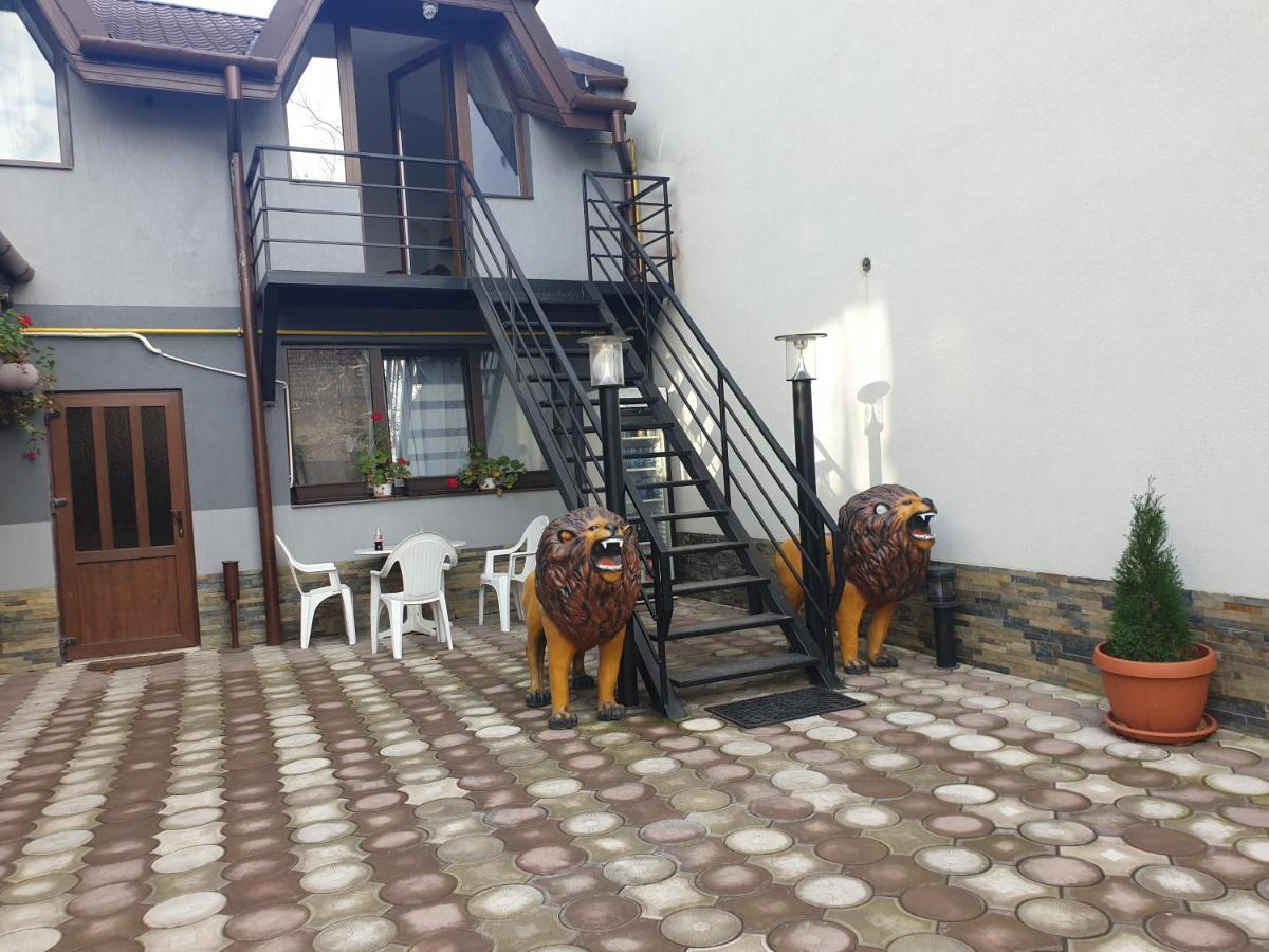 蒂米什瓦拉 Casa Lions酒店 外观 照片